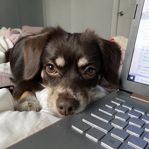 Fundraising Page: Mandi Oerman